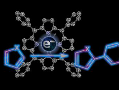 Photochemical C–H Arylation of Heterocycles