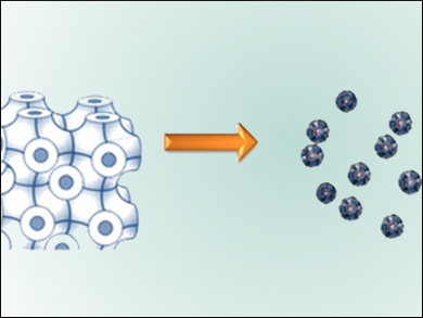 Drug Carrier for Mild and Effective Chemotherapy