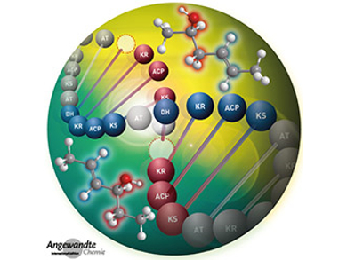 Angewandte Chemie 7/2017: Providing Insight