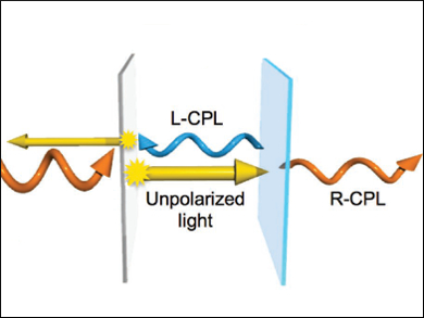 Cellulose Films Depolarize Light