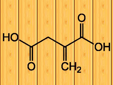 Bio-Based Polymer Cooperation