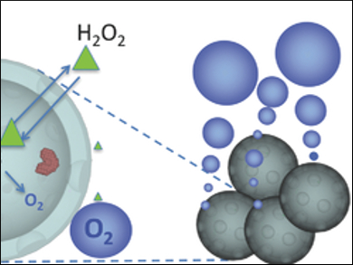 Nanospheres Measure Oxidative Stress