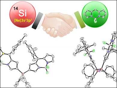 Silyl- and Disilanyl-BODIPYs