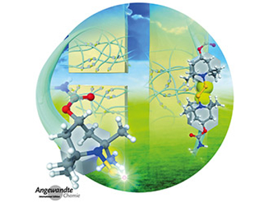 Angewandte Chemie 8/2017: Activate!