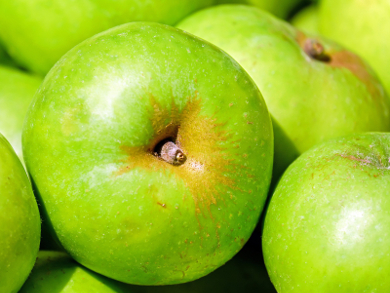 Structure of Apple Allergen Identified