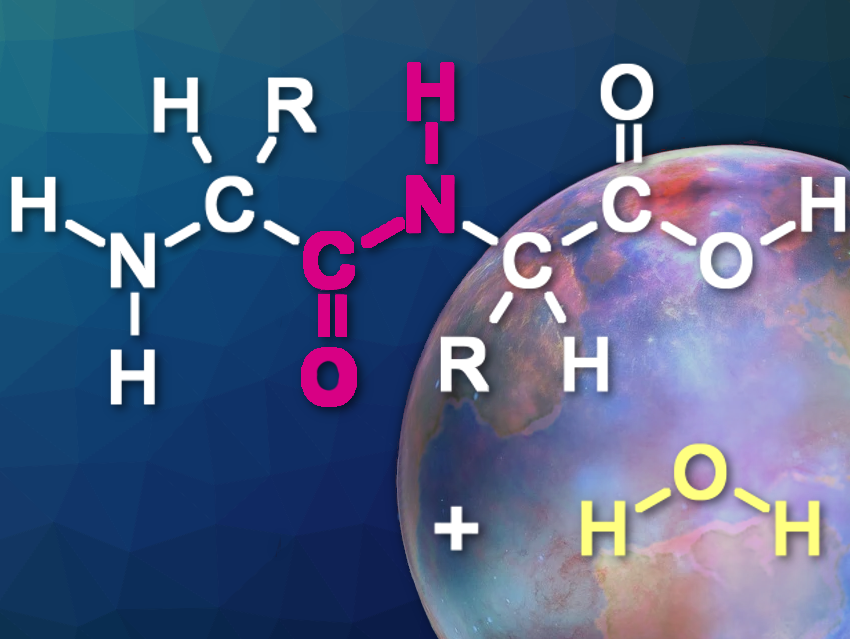 Surprise About the First Peptide Bond Formations