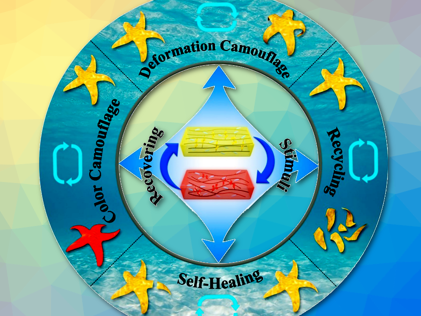 Material Mimics Camouflage Capabilities of Marine Mollusks