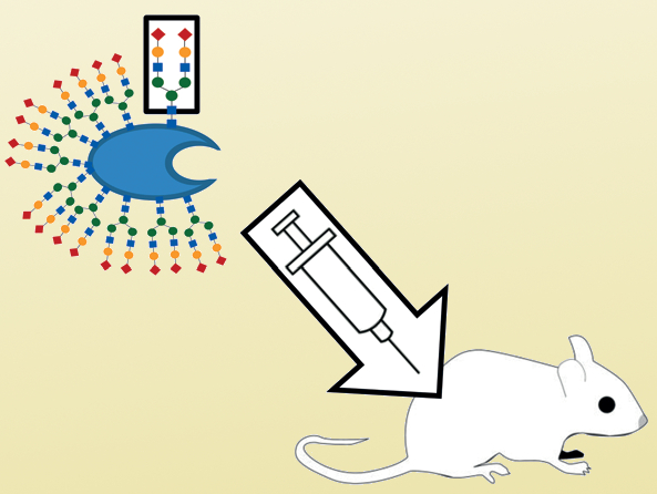 In-Mouse Catalysis