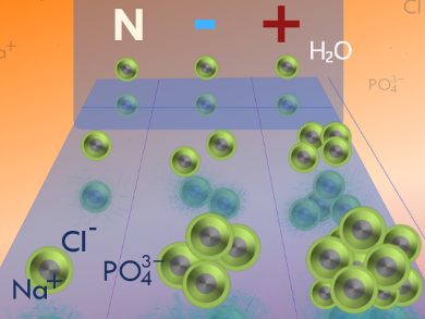 Colloidal Stability in Biological Fluids