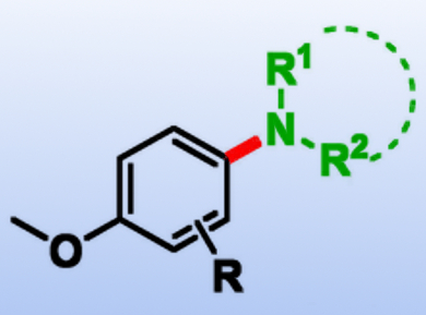 Arene Amination Using Photoredox Catalysis