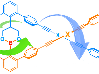 Double Helices as a Molecular Rotor