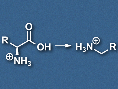 Primary Amines from Renewable Resources