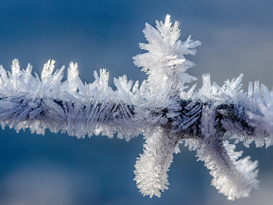 Microgrooves Control Frost Formation