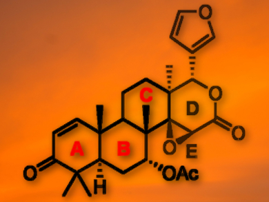 Tetranortriterpene Synthesis