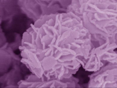 Flowerlike Photocatalyst