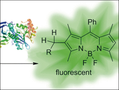 Lighting up Antibiotic Resistance