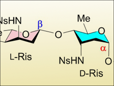 A Practical Glycodiversification Method