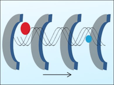 Diversity in Gold Finger Structure