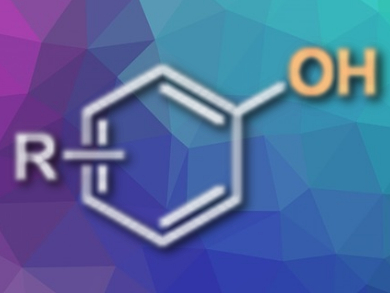 Synthesis of Complex Phenols