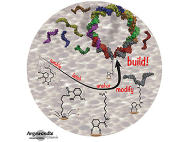 Angewandte Chemie 15/2017: Scholarly Integrity