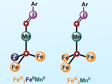 Speeding Up Oxygen Atom Transfer Reactions