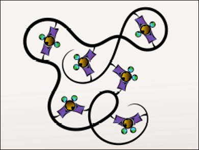 Platinum-Linked Single-Chain Nanoparticles