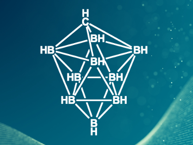 Carborane Anions as Electrolytes