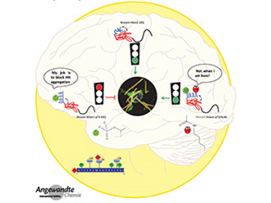 Angewandte Chemie 19/2017: Structural Changes