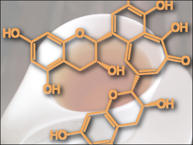 Polyphenols: Contributors to Good Health – Part 1