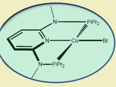 Environmentally Benign Cross-Couplings