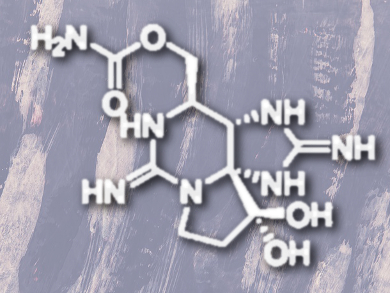 Biosynthesis of Saxitoxin