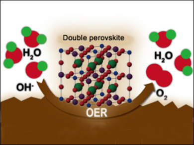 Double Perovskites for Oxygen Evolution