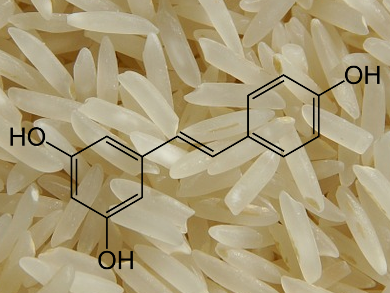 Resveratrol-enriched Rice