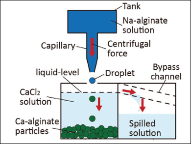 Making Calcium Alginate Particles with a Centrifuge