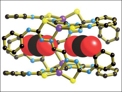 1D Coordination Nanotubes