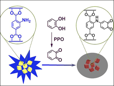 MOF-Based Enzyme Activity Assay