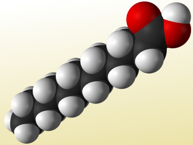 Fatty Acids from CO2 and Hydrocarbons