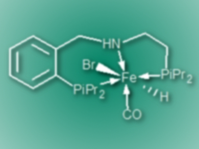 Selective Nitrile Reduction