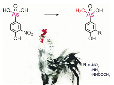 Poultry Feed with Arsenic More Problematic than Assumed?