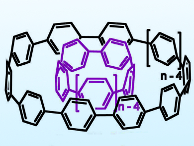 Shortest Double-Walled Carbon Nanotubes