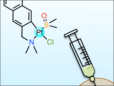 Aromatic Ligands for Anticancer Complexes