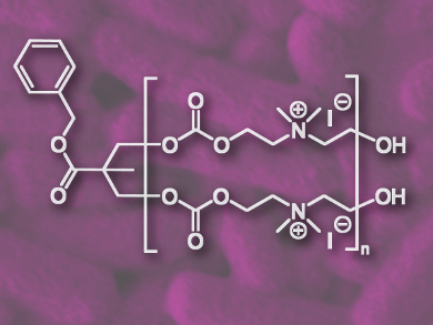 Antimicrobial Polymers against Biofilms