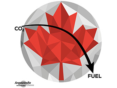 Angewandte Chemie 22/2017: O Canada