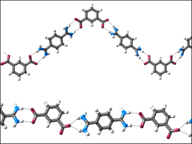 Self-Assembly Driven by Hydrogen Bonds