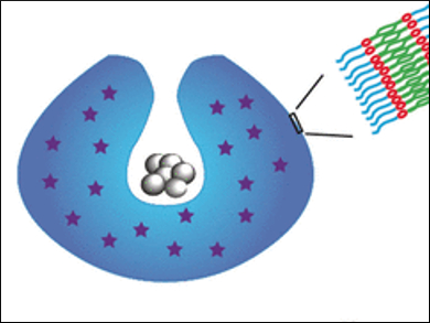 Nanosubmarine with Self-Destroying Activity