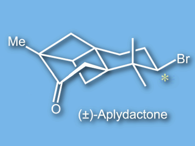 Total Synthesis of Aplydactone