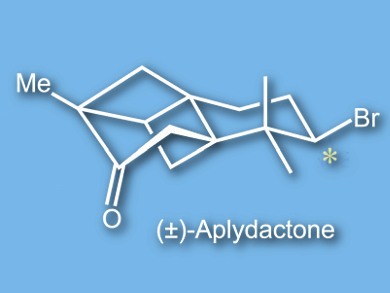 Total Synthesis of Aplydactone