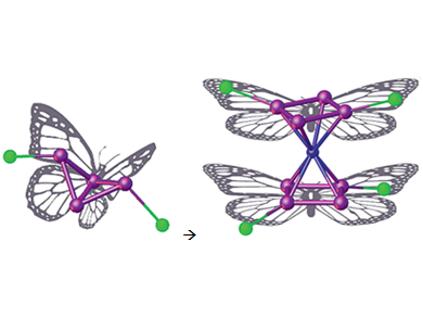 Rearranging P4 Butterfly Complexes