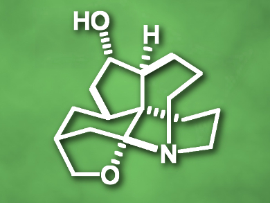 Divergent Syntheses of Alkaloids