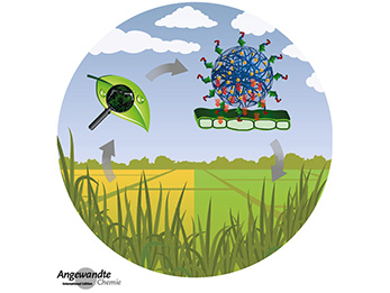 Angewandte Chemie 26/2017: Controlled Delivery